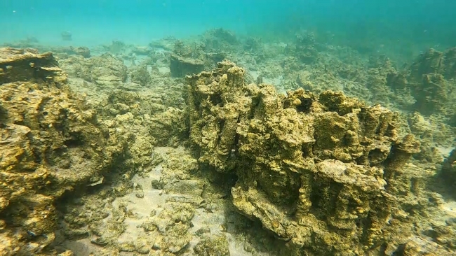 Van Gölü'nde yeni mikrobiyalitler keşfedildi